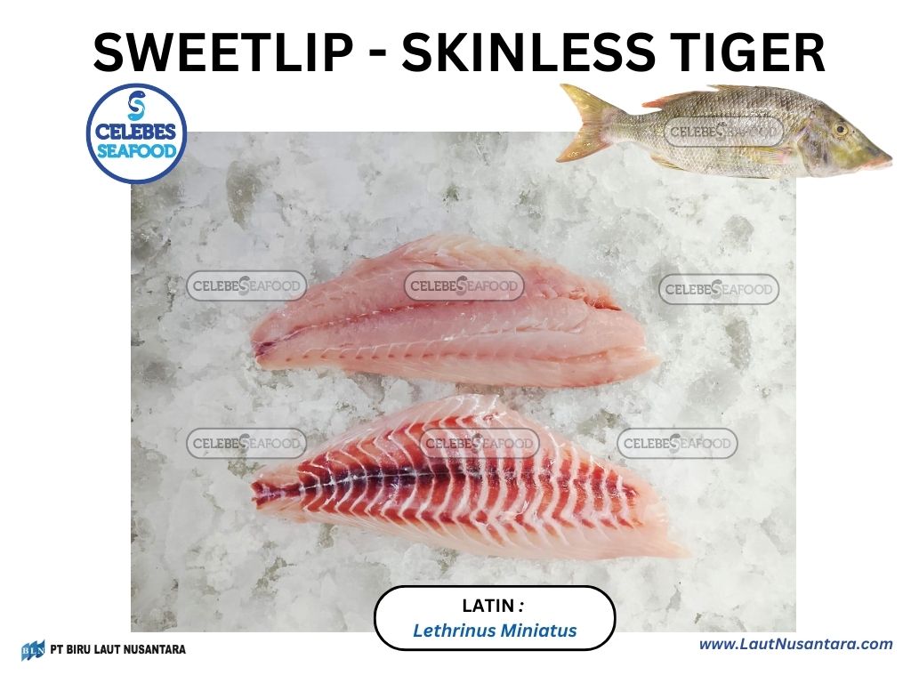 SWEETLIP SKINLESS TIGER