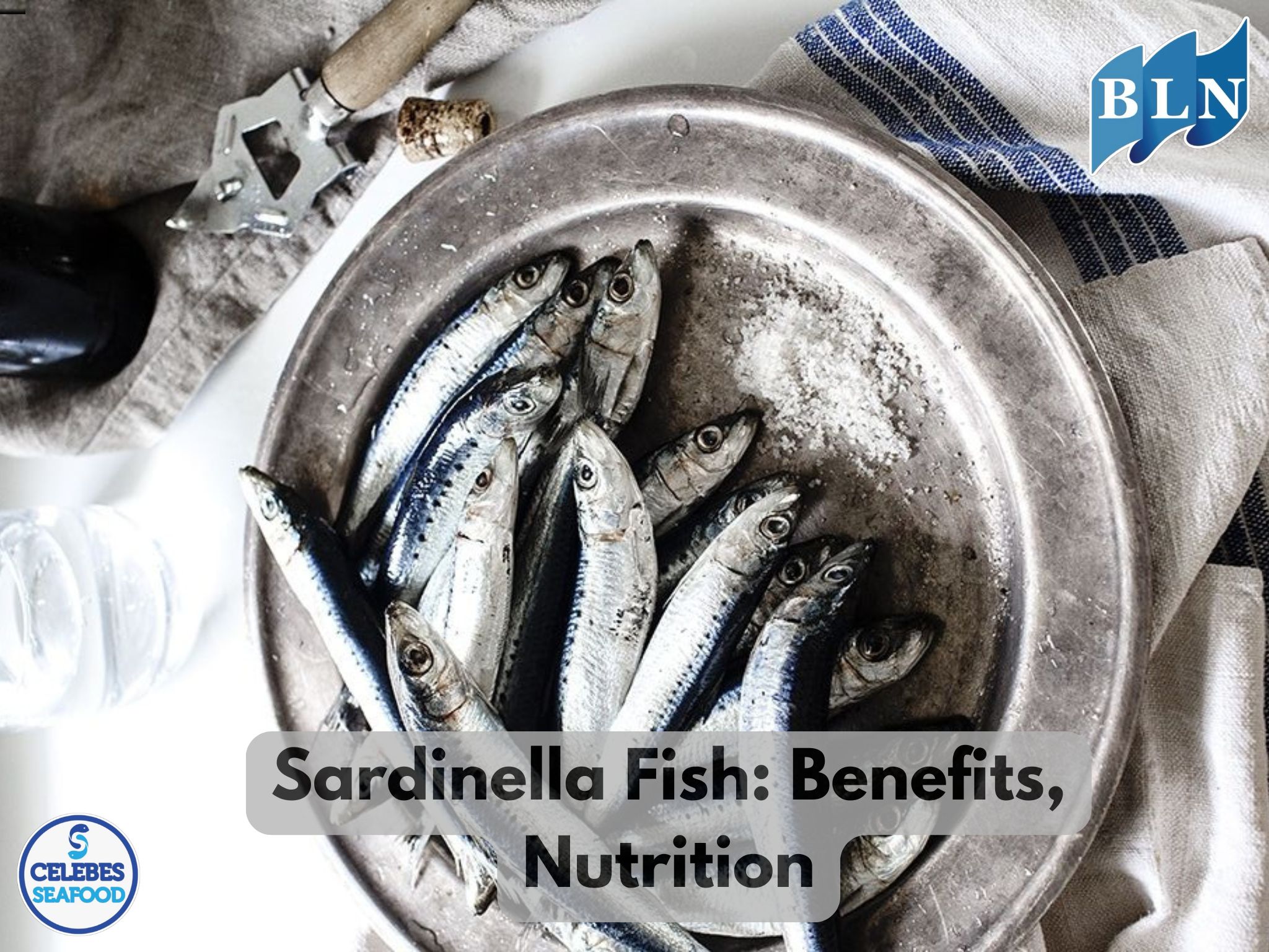 Sardinella Fish: Benefits, Nutrition